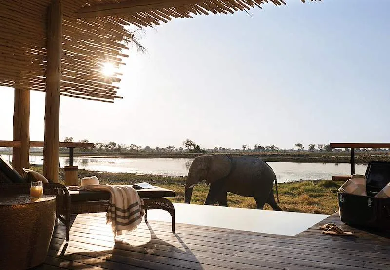 A shaded lodge deck overlooks the Okavango Delta, with an elephant across the water.