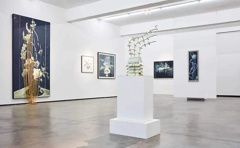 Contemporary artworks are displayed in a bright Cape Town gallery.
