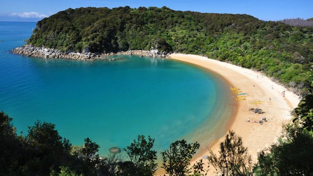 A sheltered Abel Tasman bay with a green headland and pale sandy beach.