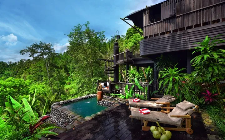 A timber guest pavilion and open-air lounge surrounded by lush Ubud rainforest.