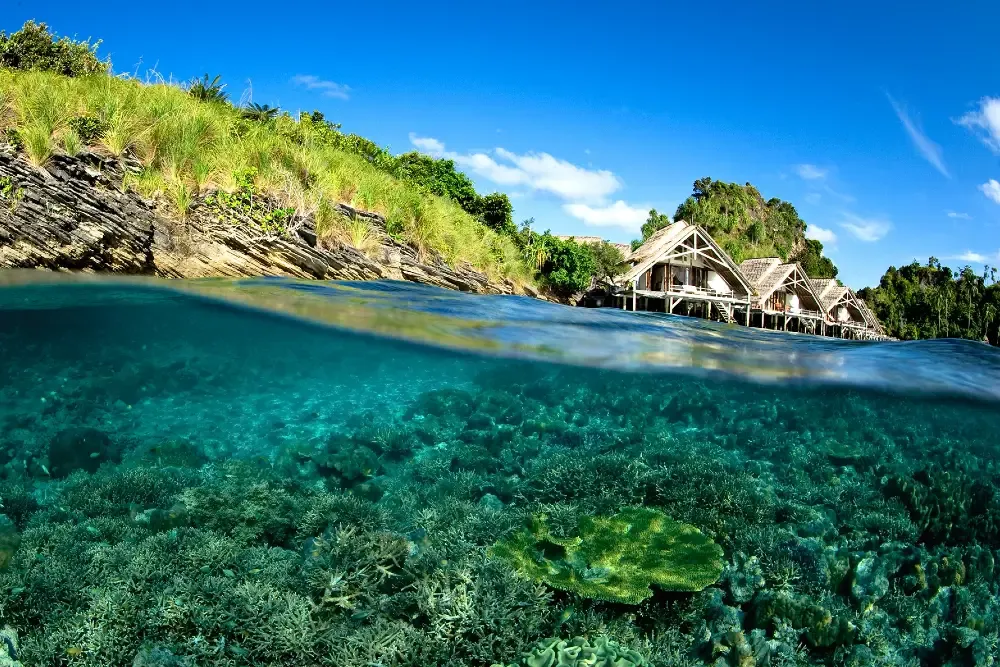 Waterfront cottages among tropical greenery above clear turquoise water at Misool.