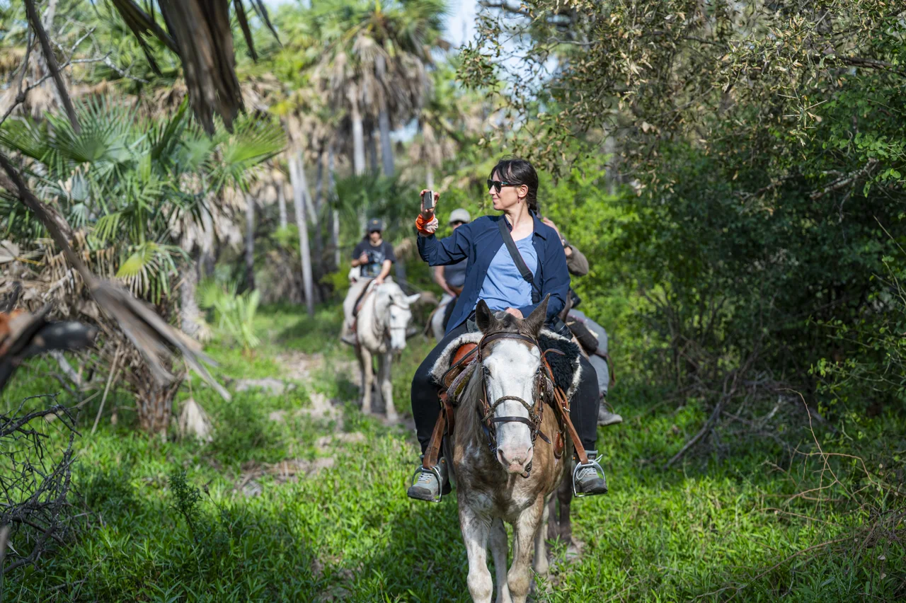 Riders on horseback following a trail through green woodland.