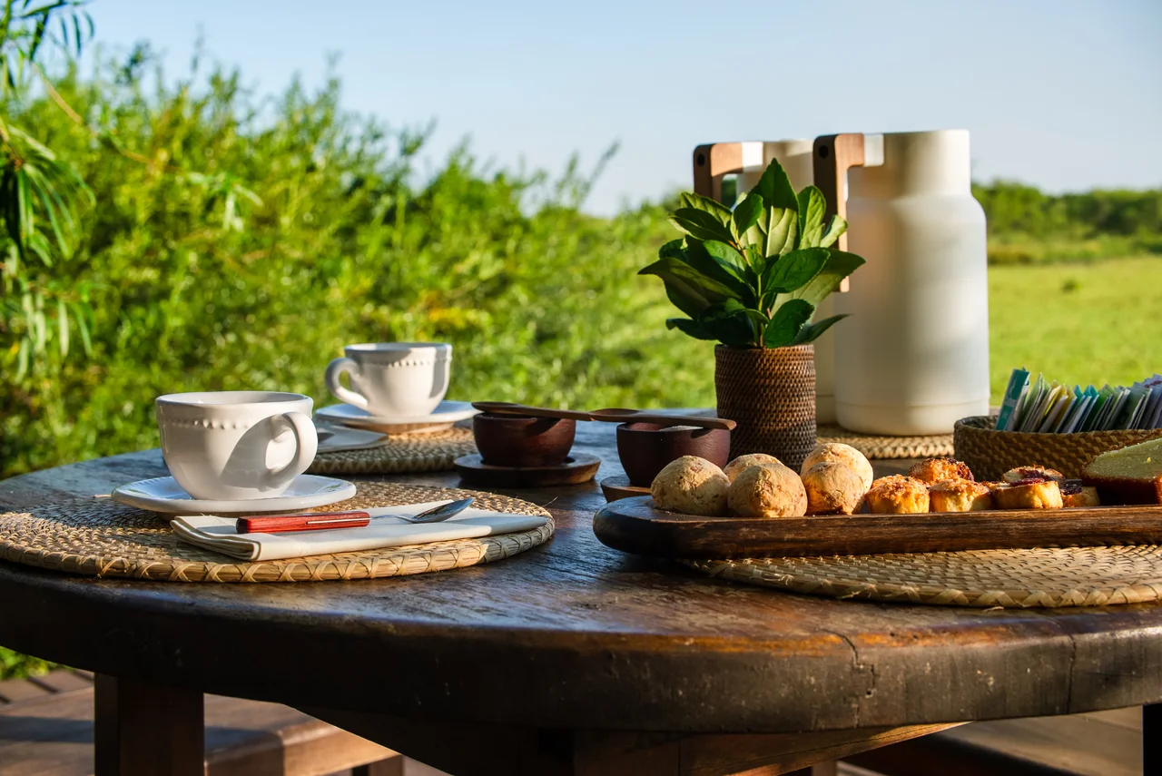 An outdoor breakfast table with cups, bread and a thermos overlooking grassland.