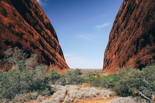 A walking trail through vegetation between two tall red rock faces.