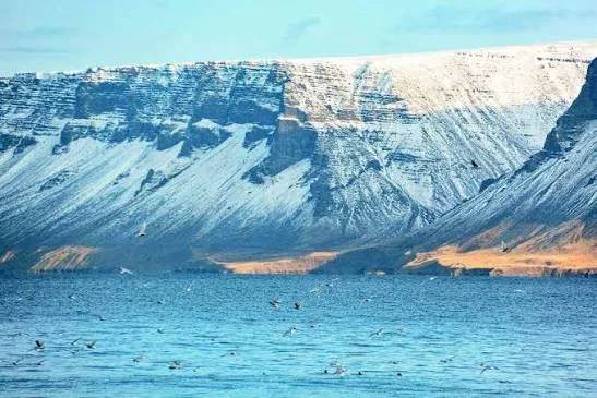 A broad fjord beneath steep mountains dusted with snow.