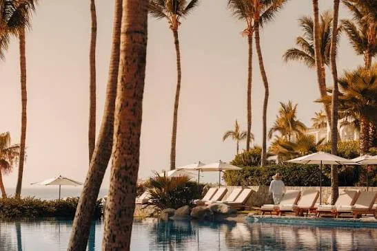 A palm-lined swimming pool with loungers and parasols in warm evening light.