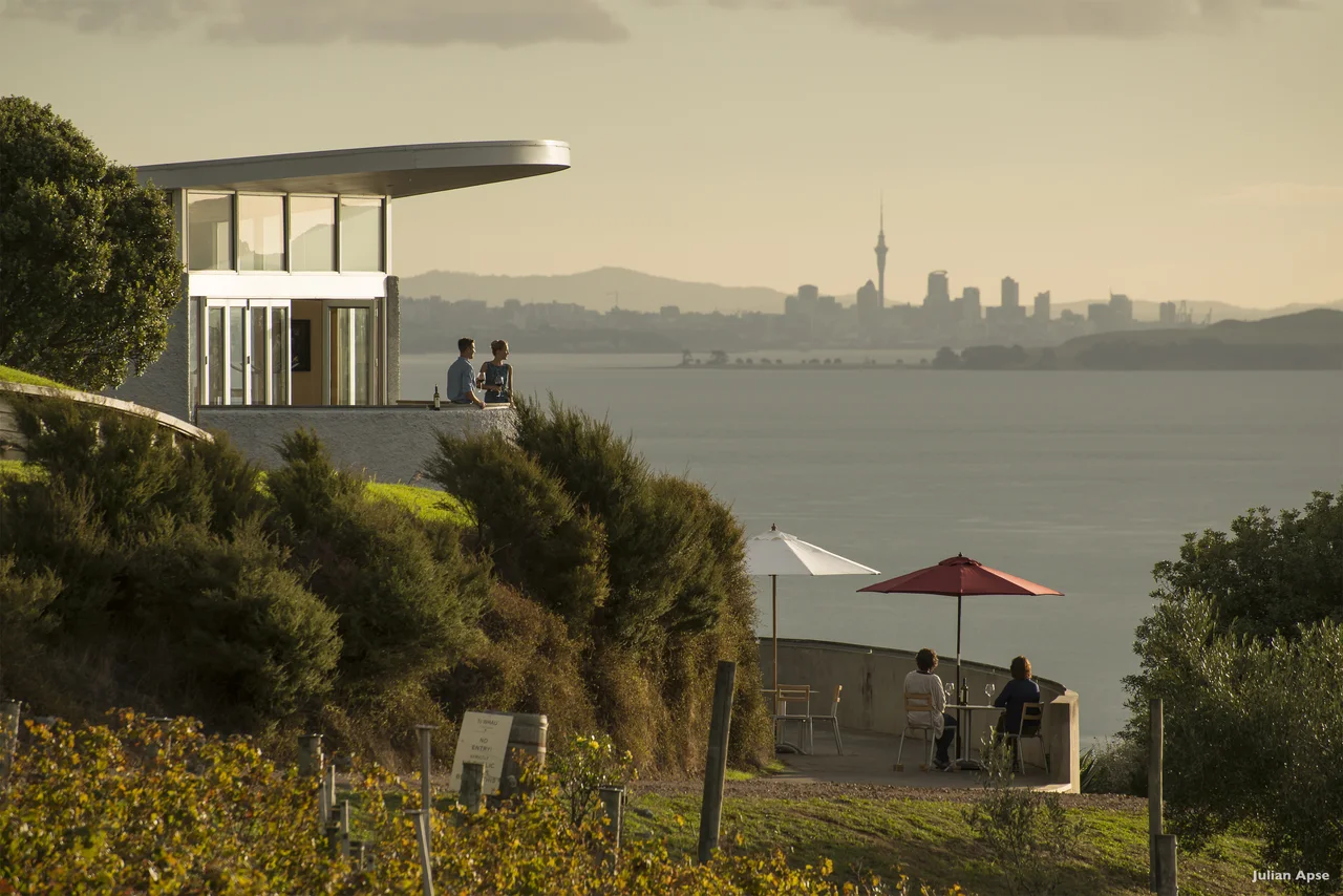 A hillside terrace and vineyard overlooking water and a distant city skyline.