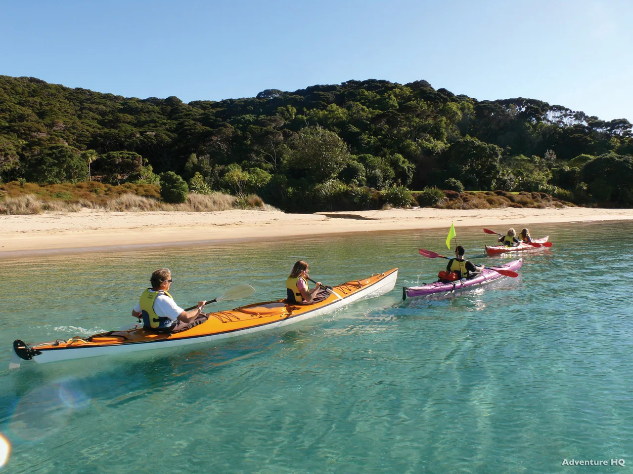 Kayakers paddling across clear coastal water beside a sandy, wooded bay.