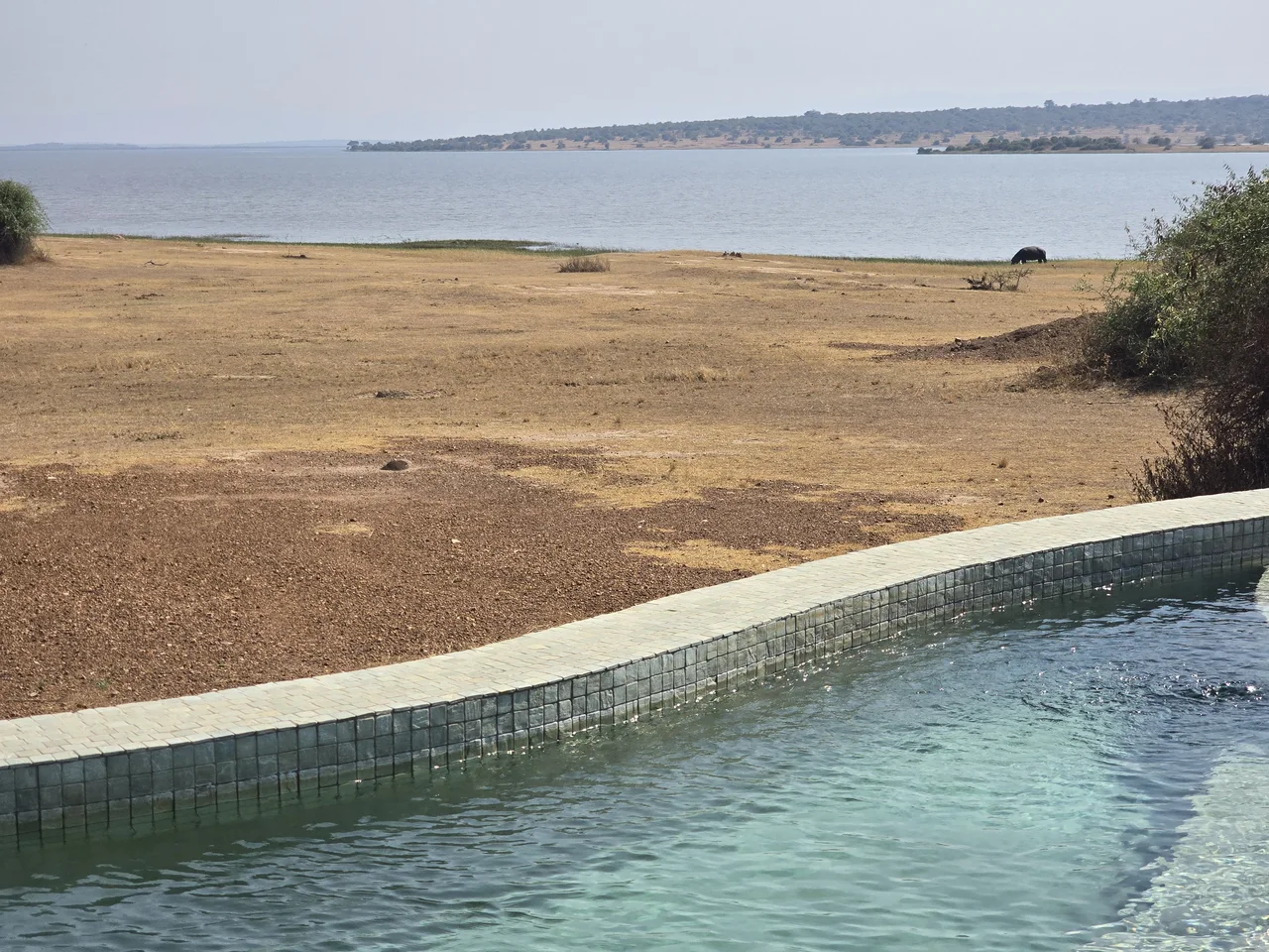A swimming pool overlooking dry grassland and a broad lake.