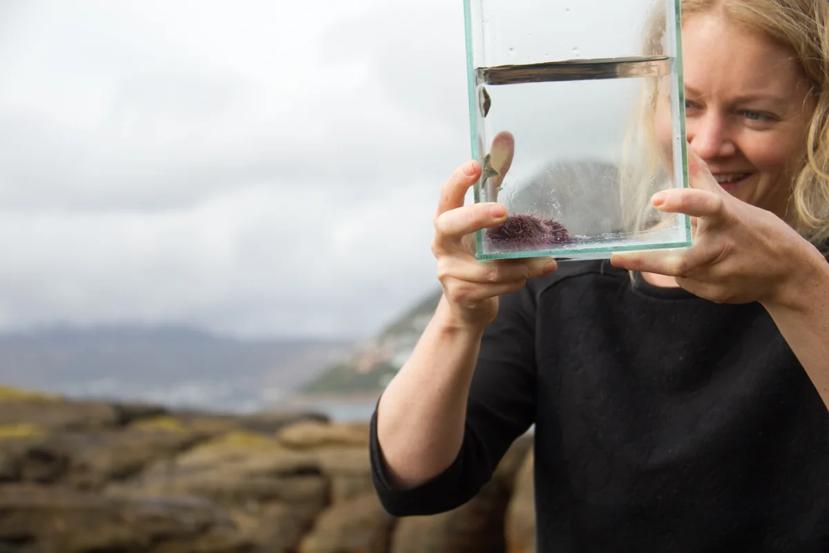 A person holding a glass tank beside a rocky shoreline.