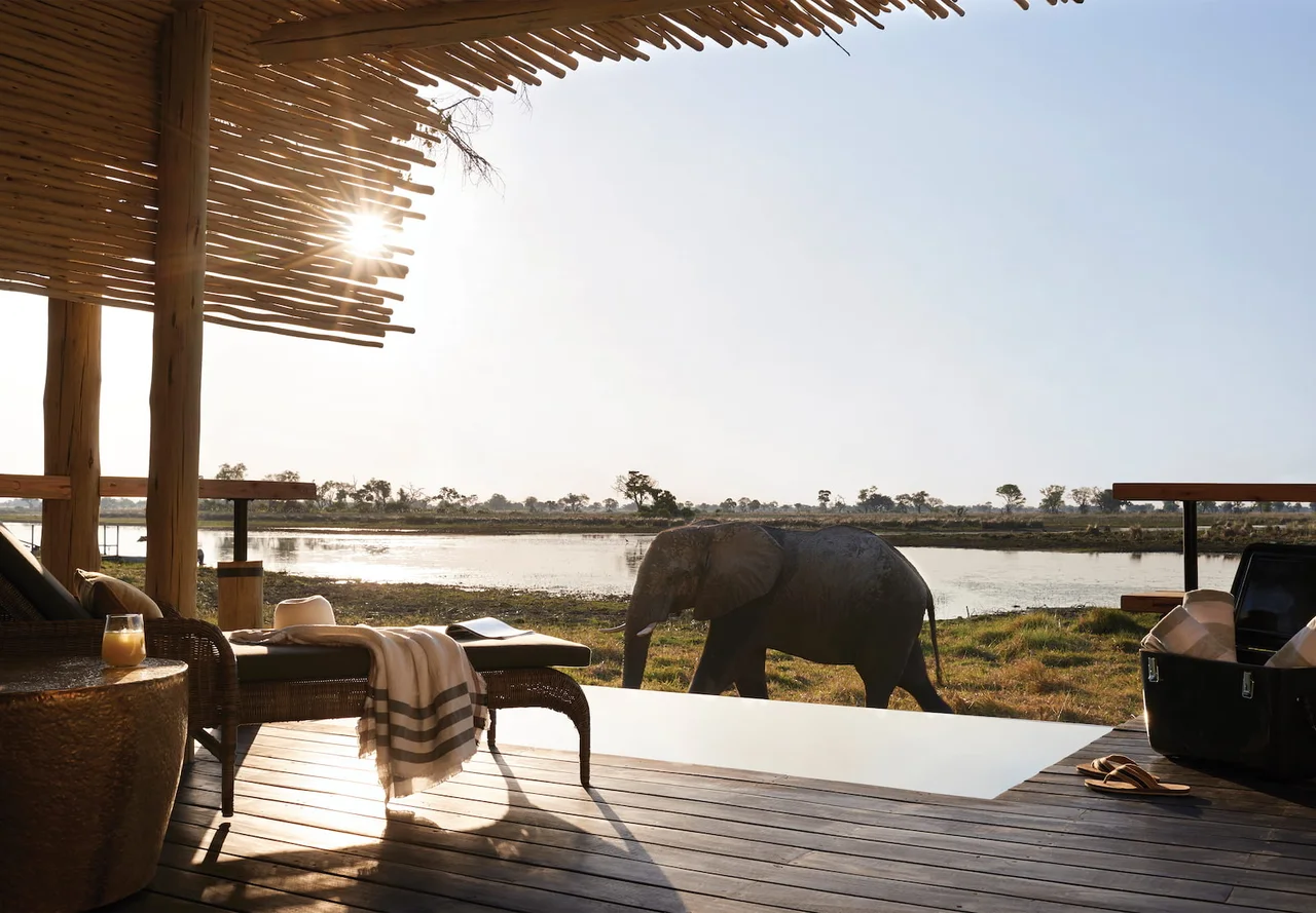 An elephant walking beside the water beyond a shaded lodge terrace.