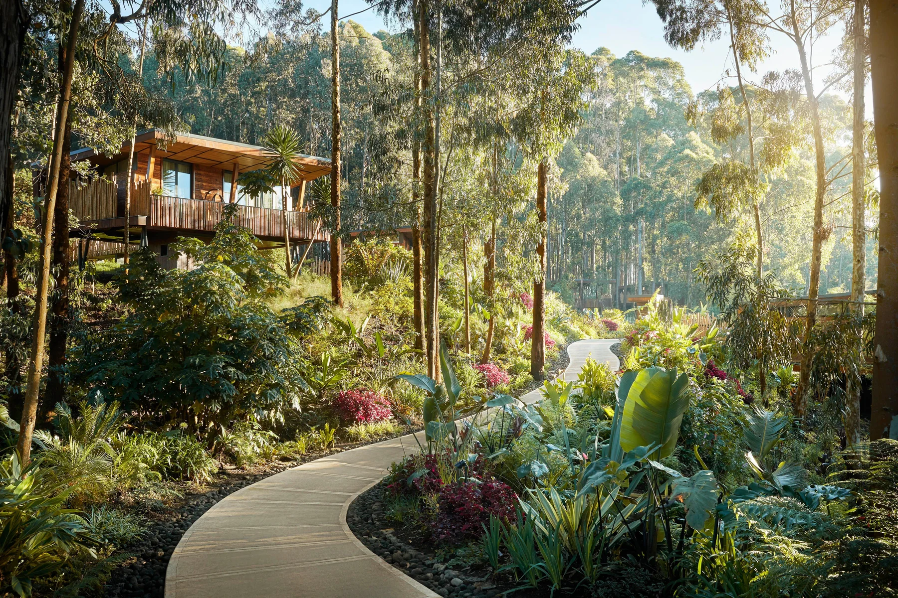 A raised timber lodge sits among leafy trees beside a winding garden path.