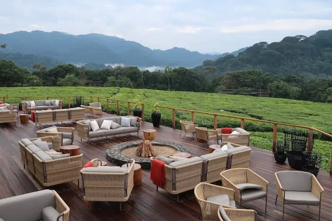 Lounge seating on a broad wooden terrace overlooks green hills and a tea-covered valley.